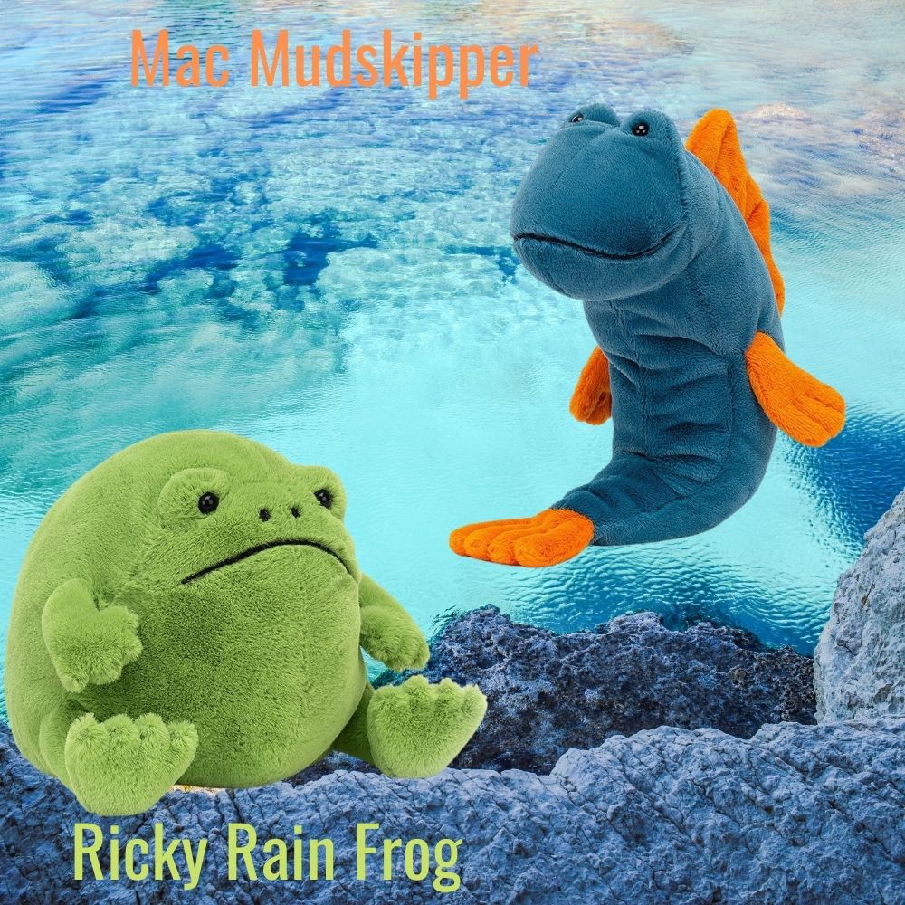 Ricky Rain frog and mac mudskipper