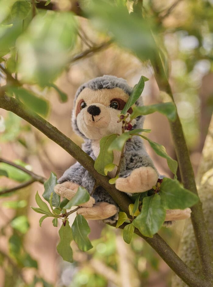 Charlie Bears Cuddle Cub Sloth