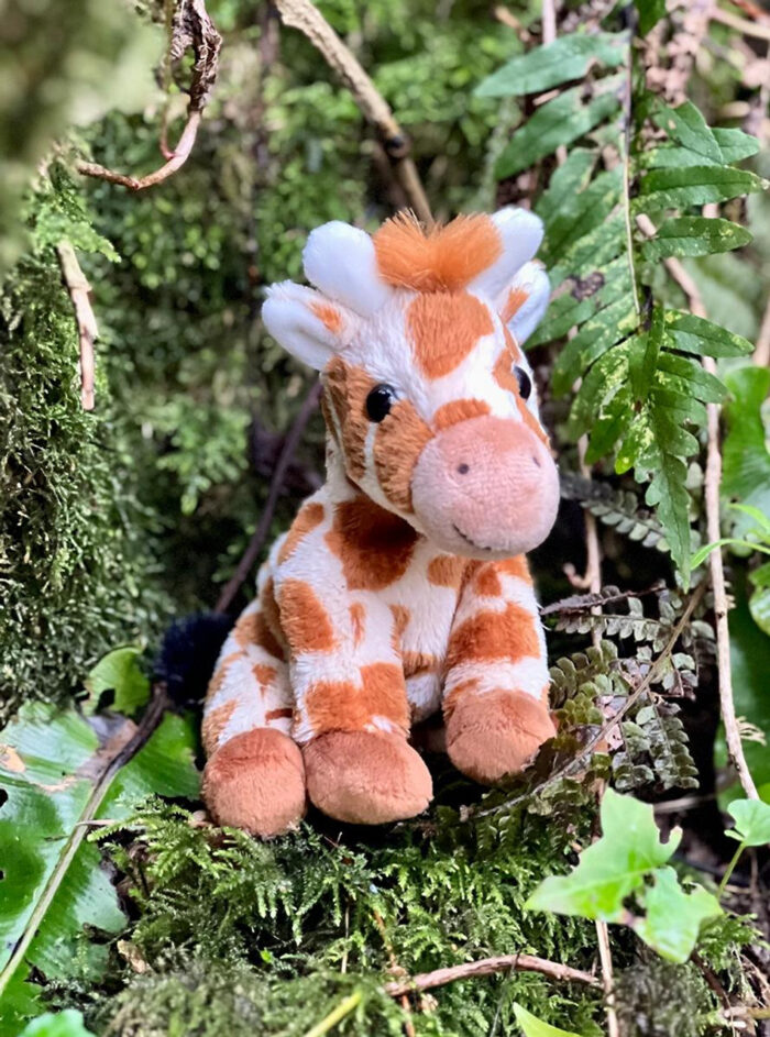 Cuddle Cub Giraffe
